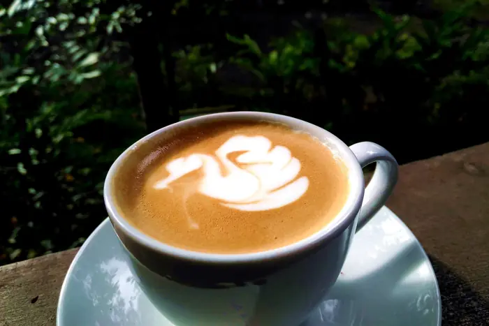 A cup of coffee with latte art