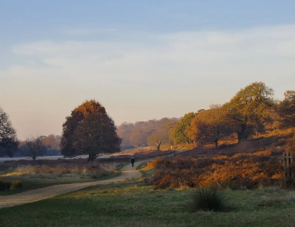 Richmond Park